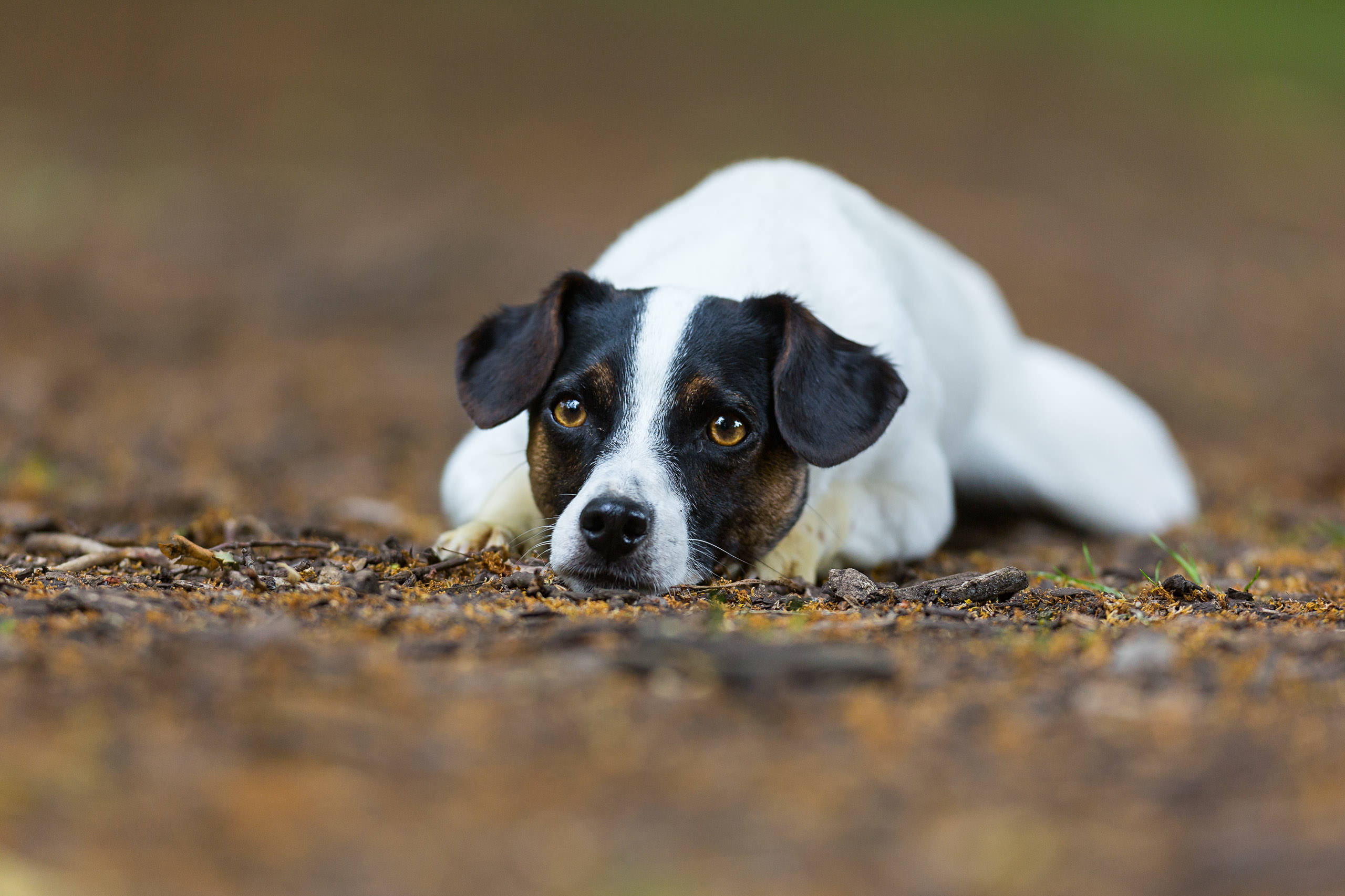 140705 133539 MG 9852 Bearbeitet