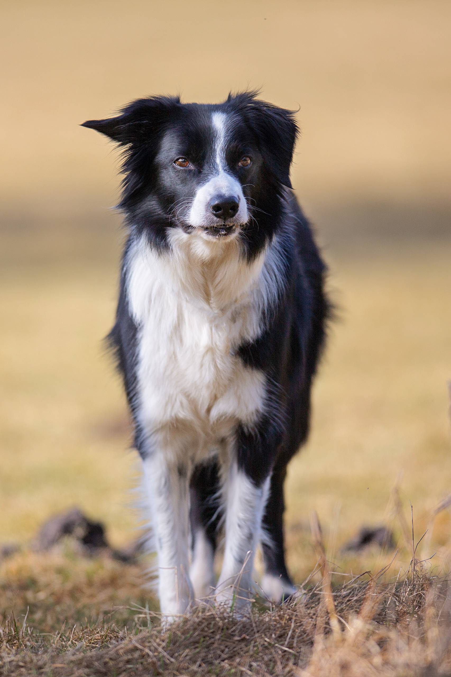 Fotoshooting HSZD 06.03.2013
