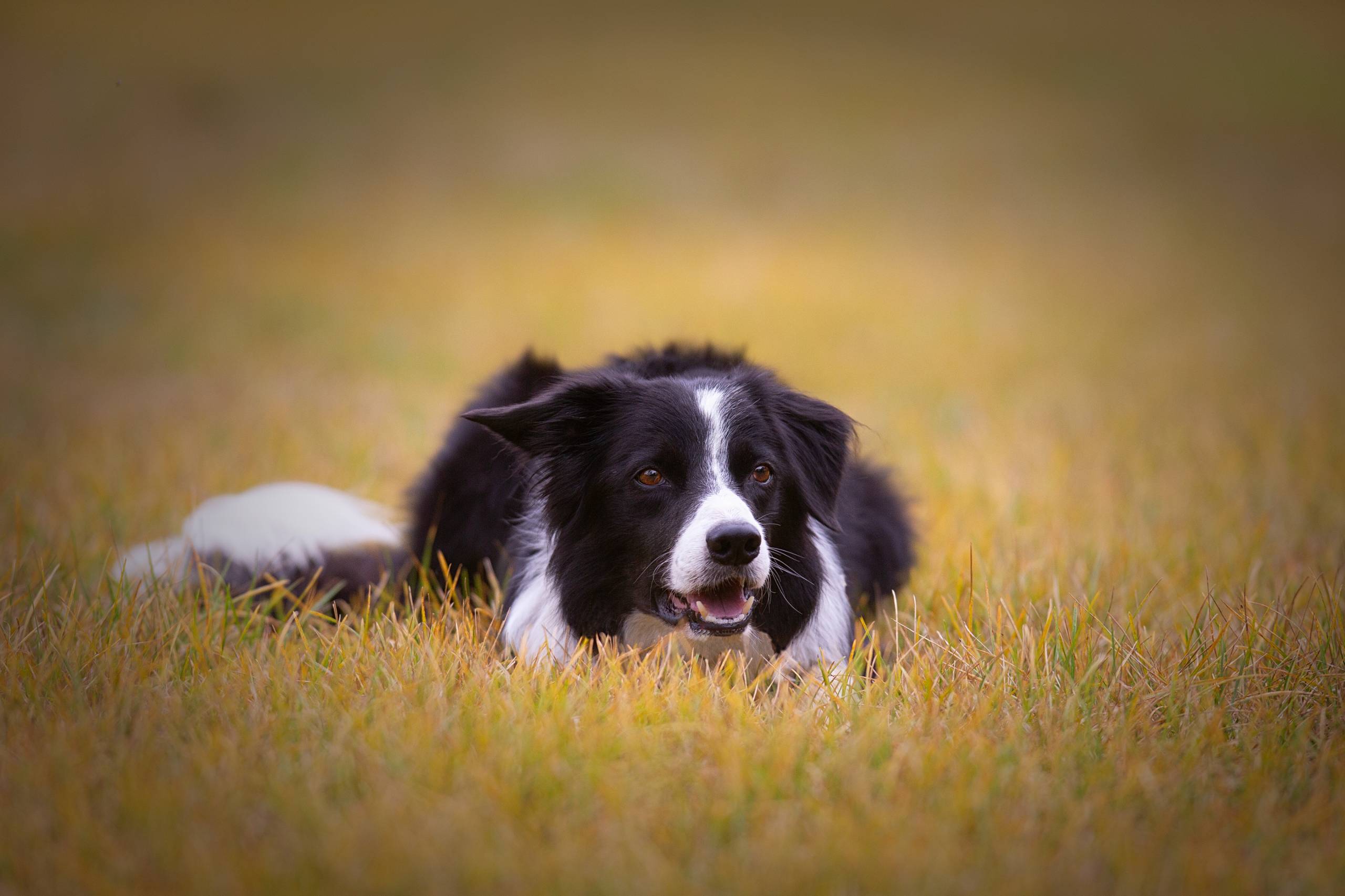 Fotoshooting HSZD 13.09.2012