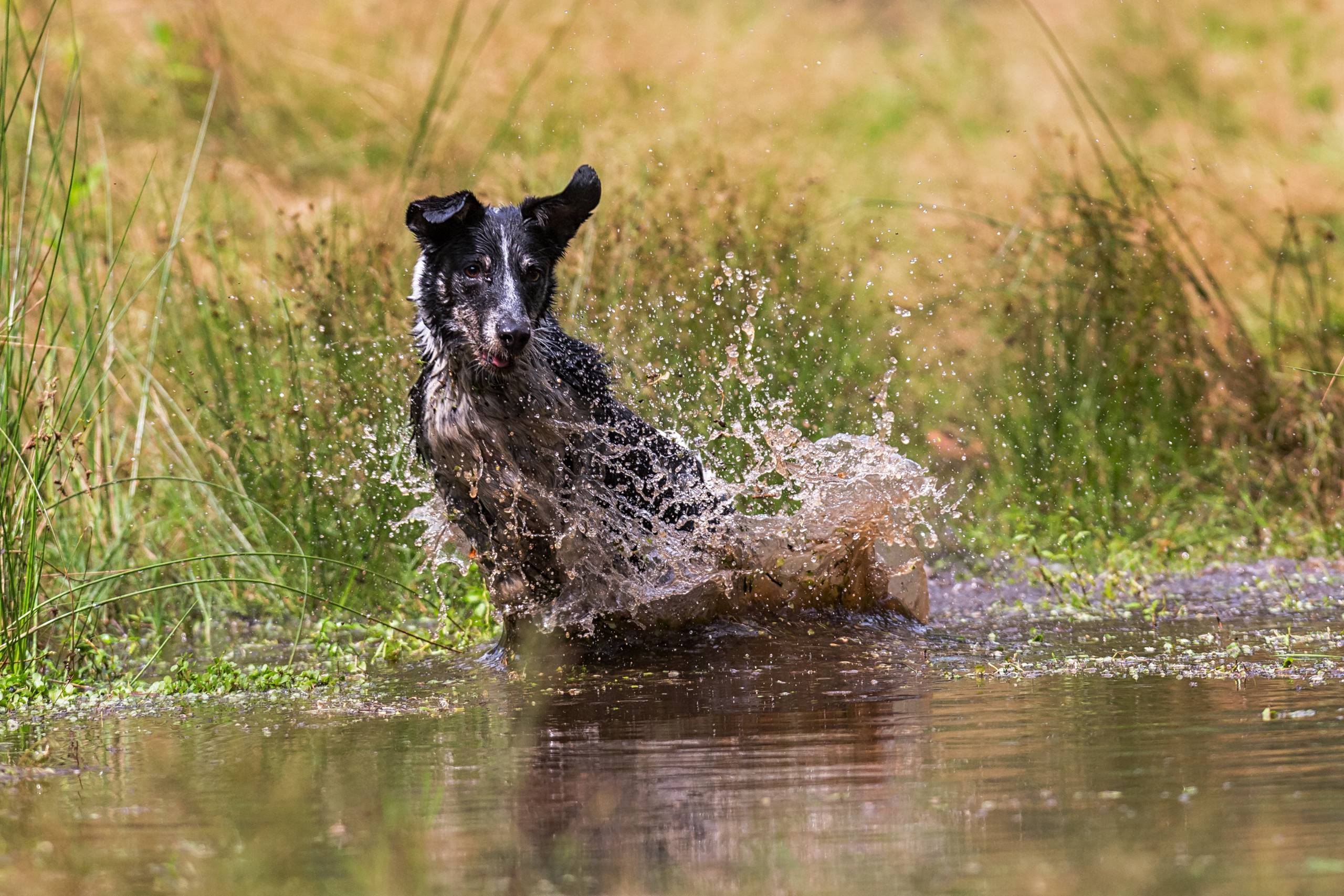 Fotoshooting HSZD 13.08.2014