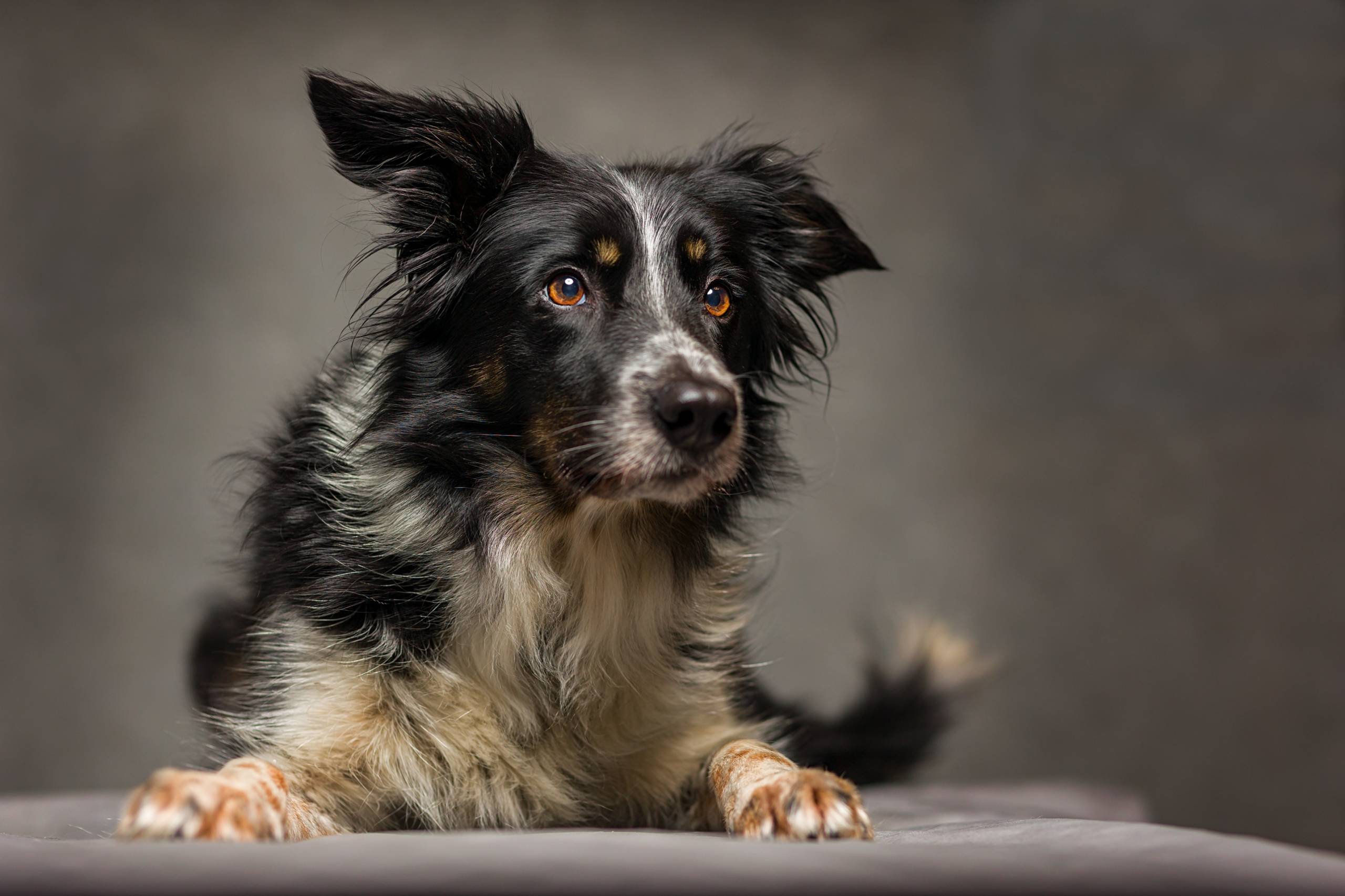 Fotoshooting HSZD 21.12.2020