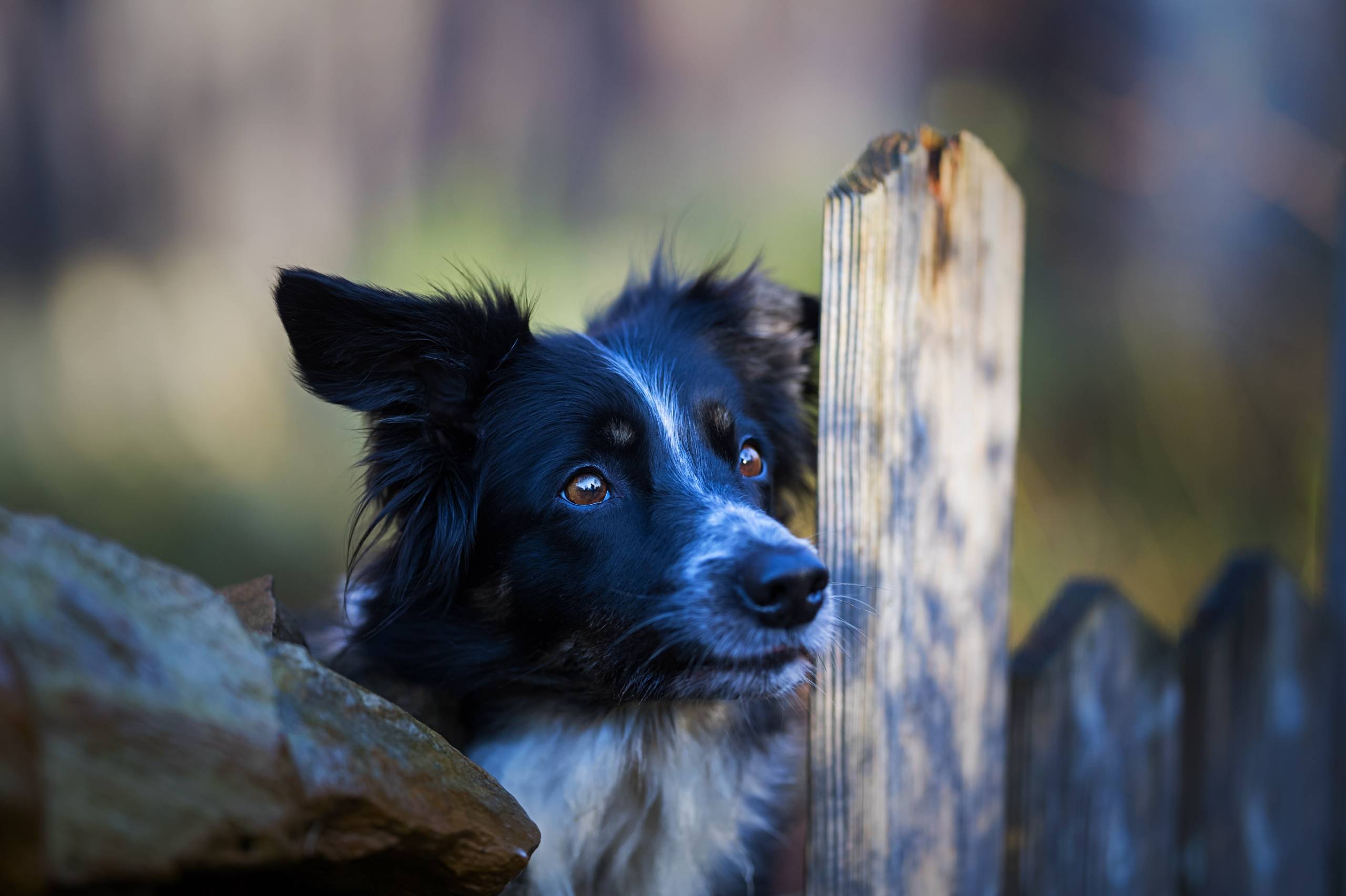 Fotoshooting HSZD 19.12.2019