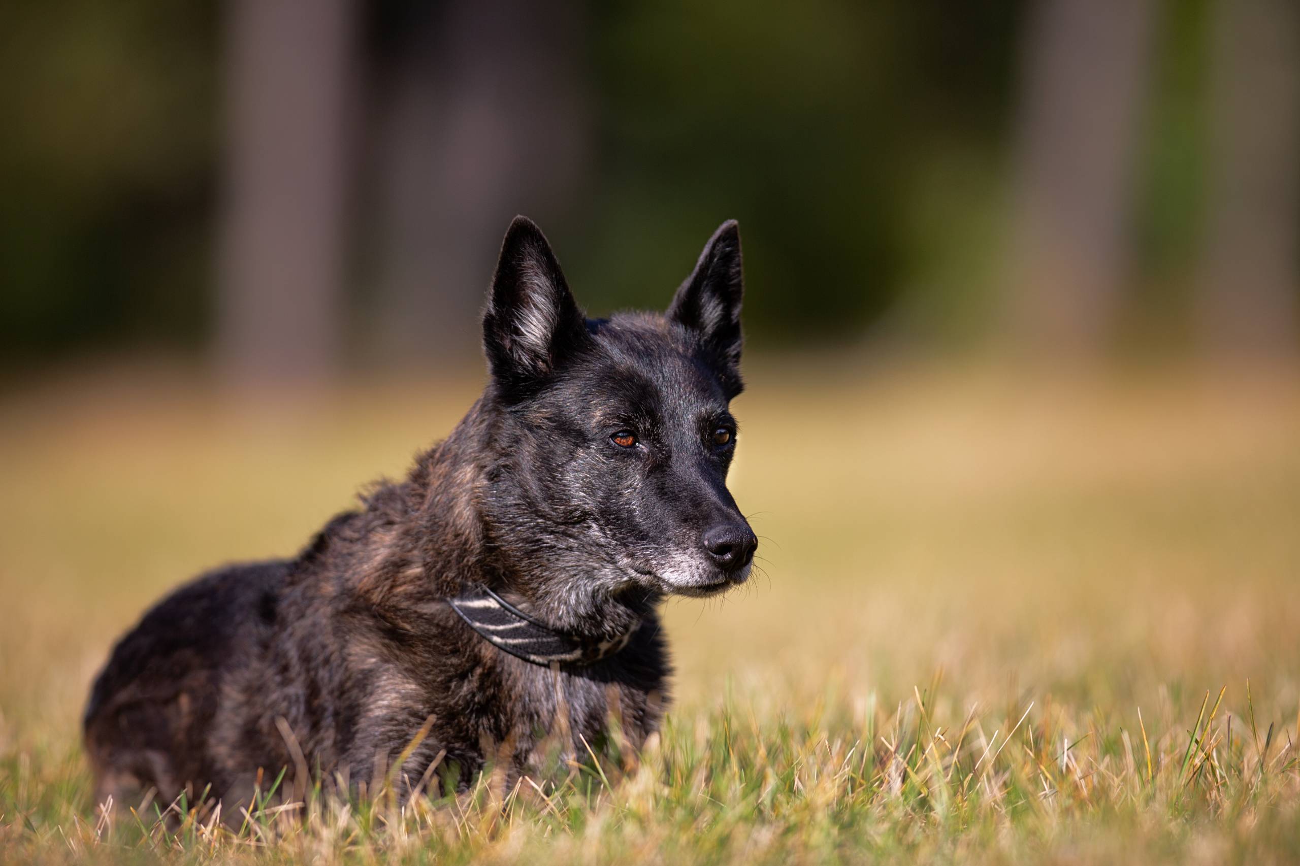 Fotoshooting HSZD 18.10.2012