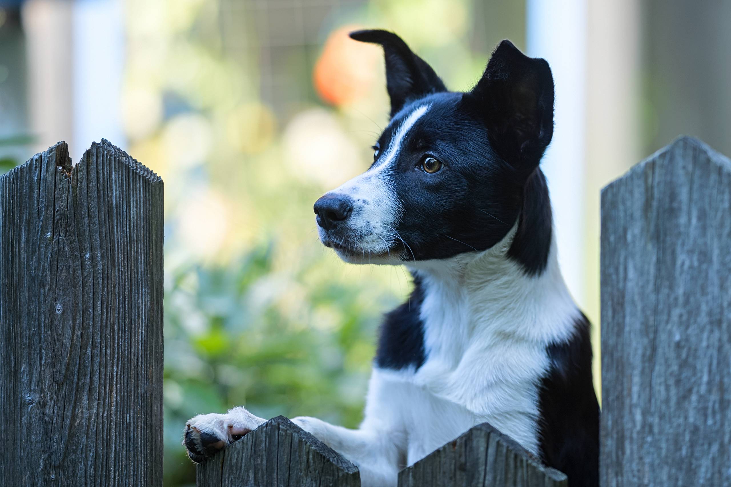 Fotoshooting HSZD 22.08.2019