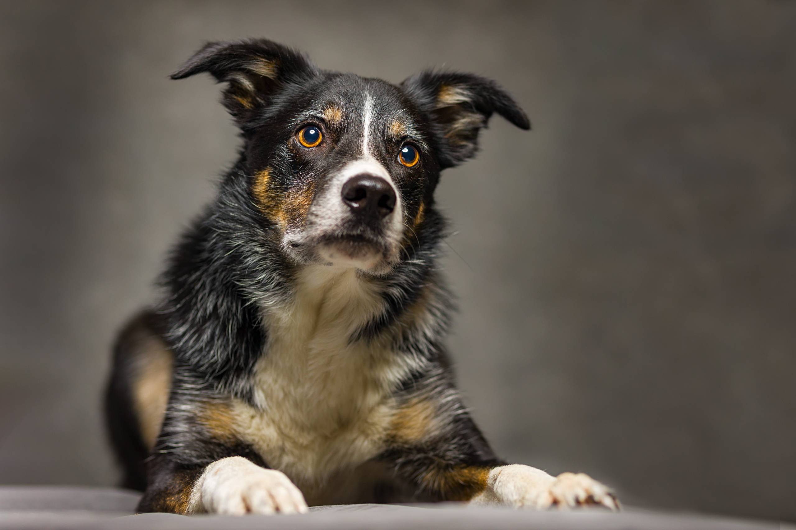 Fotoshooting HSZD 21.12.2020