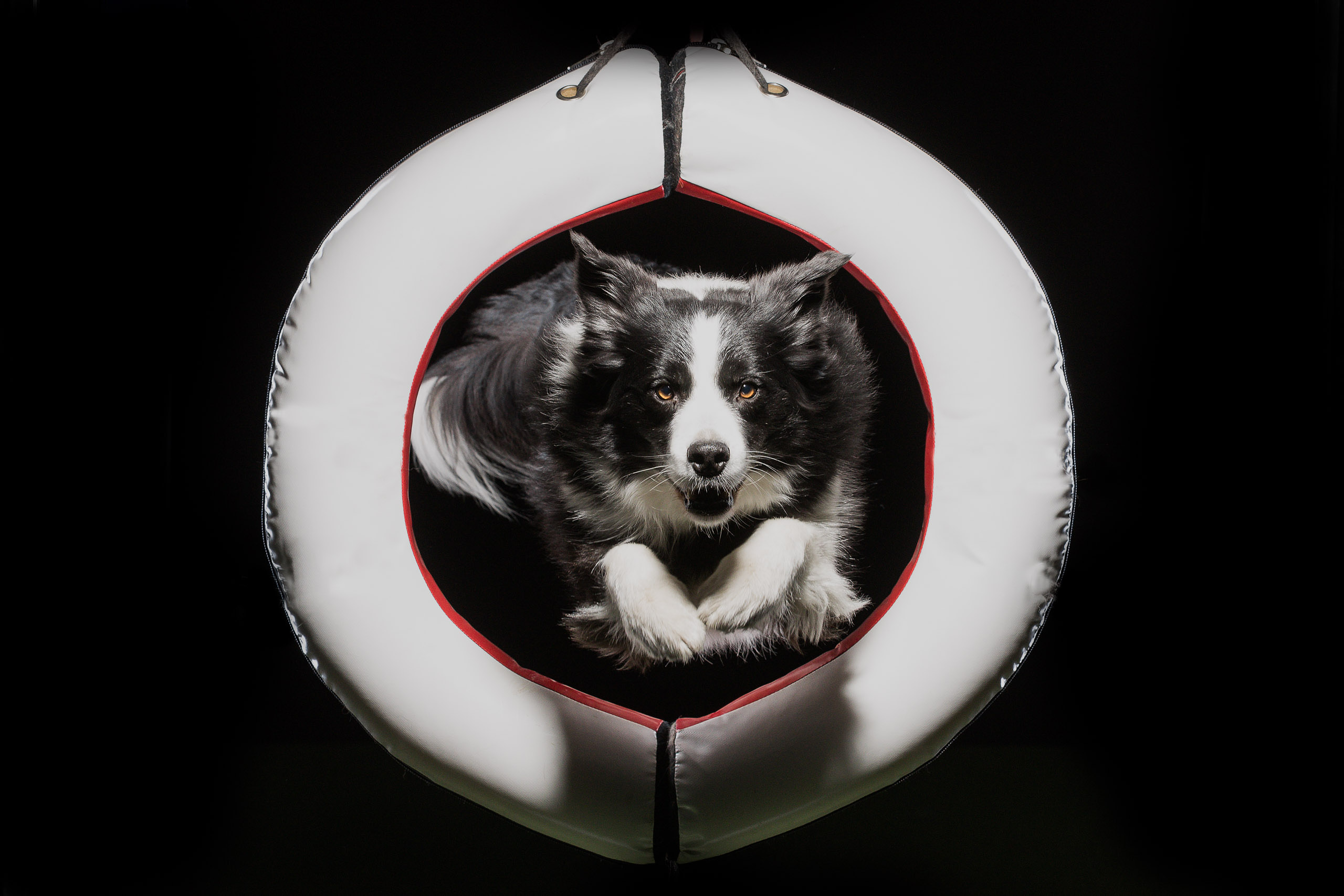 200323 154735 MG 8189 Bearbeitet