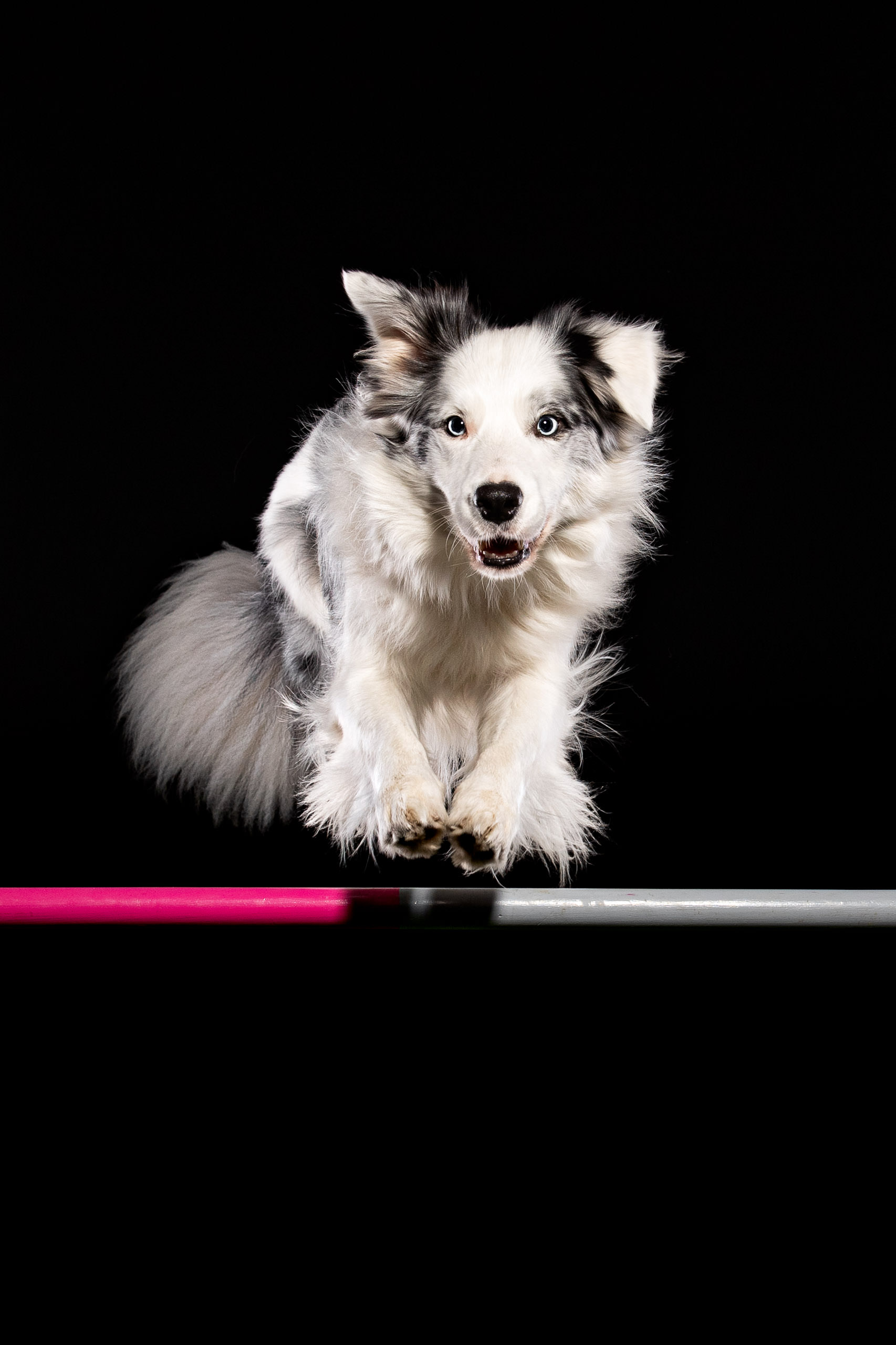 200406 123411 MG 8806 Bearbeitet 2